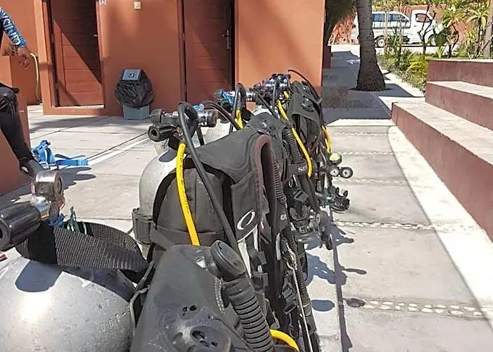 Pebble & Fins Bali Dive リゾート