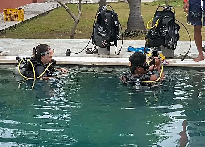 Pebble & Fins Bali Dive Kubu