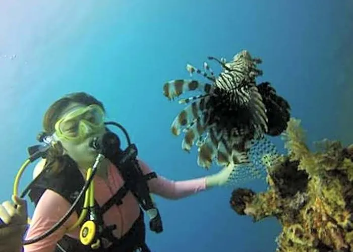 Pebble & Fins Bali Dive